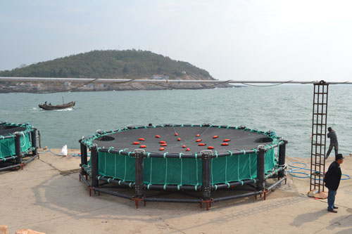 海参网箱,海参养殖,海参如何养殖,蓝海经济项目,如何养海参,青岛天游ty8海洋网箱科技有限公司